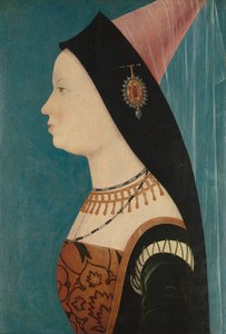 Maria van Bourgondië, 1528