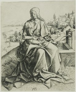 De Madonna bij de fontein