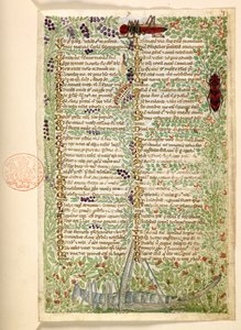 Bloemen, fruit en insecten, waaronder een sprinkhaan en een sprinkhaan, uit een Verhandeling over de Deugden en Ondeugden, en een anonieme prozageschiedenis van Sicilië (fragment)