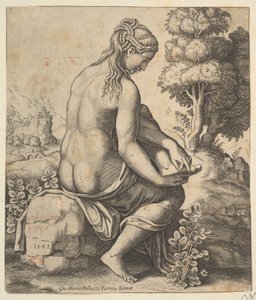 Venus verwijdert een doorn uit haar voet, 1532