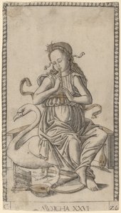 Musicha (Muziek)
