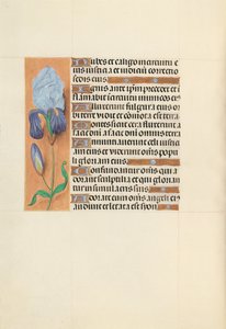 Getijdenboek van Koningin Isabella de Katholieke, Koningin van Spanje: Fol. 108v, ca. 1500 door Master of the First Prayerbook of Maximillian