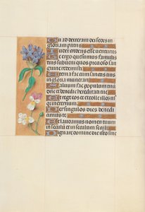 Getijdenboek van Koningin Isabella de Katholieke, Koningin van Spanje: Fol. 113v door Master of the First Prayerbook of Maximillian