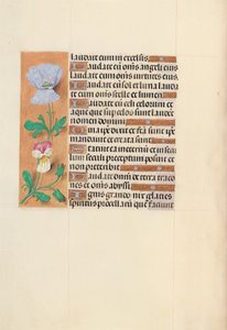 Uren van Koningin Isabella de Katholieke, Koningin van Spanje:  Fol. 120v door Master of the First Prayerbook of Maximillian