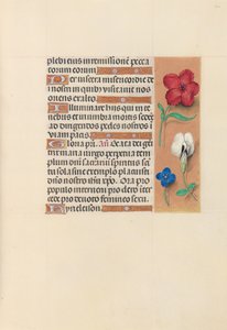 Getijdenboek van Koningin Isabella de Katholieke, Koningin van Spanje: Fol. 124r, c. 1500