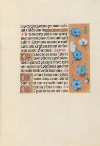 Getijdenboek van Koningin Isabella de Katholieke, Koningin van Spanje: Fol. 130r door Master of the First Prayerbook of Maximillian