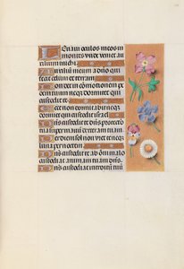 Getijdenboek van koningin Isabella de Katholieke, koningin van Spanje: Fol. 133r, ca. 1500 door Master of the First Prayerbook of Maximillian