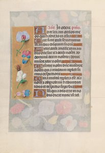 Getijdenboek van koningin Isabella de Katholieke, koningin van Spanje: Fol. 137v door Master of the First Prayerbook of Maximillian