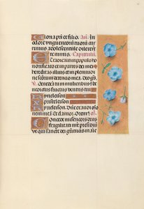 Getijdenboek van Koningin Isabella de Katholieke, Koningin van Spanje: Fol. 139r door Master of the First Prayerbook of Maximillian
