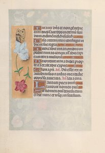 Getijdenboek van koningin Isabella de Katholieke, koningin van Spanje: Fol. 147v, ca. 1500