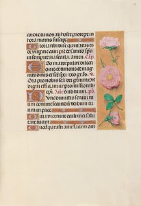 Getijdenboek van Koningin Isabella de Katholieke, Koningin van Spanje: Fol. 157r, c. 1500 door Master of the First Prayerbook of Maximillian