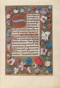 Getijdenboek van koningin Isabella de Katholieke, koningin van Spanje: Fol. 15r, c. 1500 door Master of the First Prayerbook of Maximillian