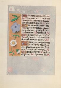 Uren van koningin Isabella de Katholieke, koningin van Spanje: Fol. 160v door Master of the First Prayerbook of Maximillian