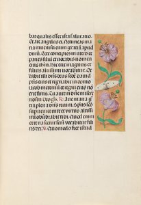 Getijdenboek van koningin Isabella de Katholieke, koningin van Spanje: Fol. 163r, ca. 1500