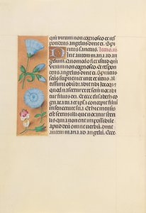 Getijdenboek van koningin Isabella de Katholieke, koningin van Spanje: Fol. 163v, ca. 1500 door Master of the First Prayerbook of Maximillian