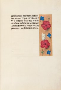 Getijdenboek van koningin Isabella de Katholieke, koningin van Spanje: Fol. 16r door Master of the First Prayerbook of Maximillian