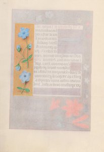 Getijdenboek van koningin Isabella de Katholieke, koningin van Spanje: Fol. 176v, ca. 1500