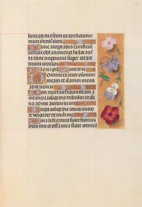 Getijdenboek van koningin Isabella de Katholieke, koningin van Spanje: Fol. 206r, ca. 1500