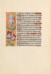 Getijdenboek van koningin Isabella de Katholieke, koningin van Spanje: Fol. 207v, ca. 1500 door Master of the First Prayerbook of Maximillian