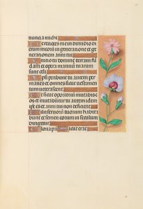 Getijdenboek van Koningin Isabella de Katholieke, Koningin van Spanje: Fol. 208r door Master of the First Prayerbook of Maximillian