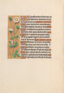 Getijdenboek van Koningin Isabella de Katholieke, Koningin van Spanje: Fol. 208v