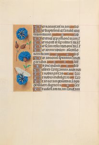 Uren van koningin Isabella de Katholieke, koningin van Spanje: Fol. 213v