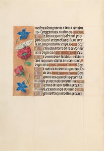 Getijdenboek van Koningin Isabella de Katholieke, Koningin van Spanje: Fol. 214v, c. 1500 door Master of the First Prayerbook of Maximillian