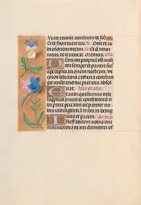 Getijdenboek van Koningin Isabella de Katholieke, Koningin van Spanje: Fol. 216v, ca. 1500 door Master of the First Prayerbook of Maximillian