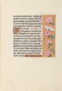 Getijdenboek van koningin Isabella de Katholieke, koningin van Spanje: Fol. 21r, ca. 1500