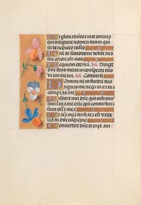 Getijdenboek van Koningin Isabella de Katholieke, Koningin van Spanje: Fol. 228v, ca. 1500 door Master of the First Prayerbook of Maximillian
