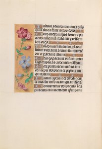 Uren van Koningin Isabella de Katholieke, Koningin van Spanje: Fol. 230v, ca. 1500 door Master of the First Prayerbook of Maximillian