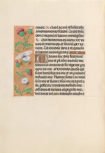 Getijdenboek van koningin Isabella de Katholieke, koningin van Spanje: Fol. 232v, ca. 1500