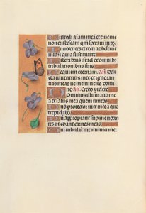 Getijdenboek van koningin Isabella de Katholieke, koningin van Spanje: Fol. 235v, ca. 1500