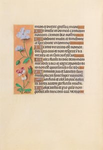 Uren van Koningin Isabella de Katholieke, Koningin van Spanje: Fol. 239v, c. 1500 door Master of the First Prayerbook of Maximillian