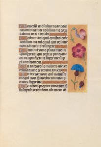 Getijdenboek van koningin Isabella de Katholieke, koningin van Spanje: Fol. 242r, ca. 1500 door Master of the First Prayerbook of Maximillian