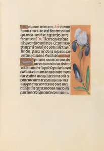 Getijdenboek van koningin Isabella de Katholieke, koningin van Spanje: Fol. 244r
