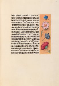Getijdenboek van koningin Isabella de Katholieke, koningin van Spanje: Fol. 245r, ca. 1500 door Master of the First Prayerbook of Maximillian