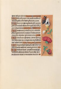 Uren van Koningin Isabella de Katholieke, Koningin van Spanje:  Fol. 249r door Master of the First Prayerbook of Maximillian