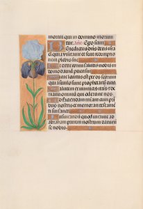Getijdenboek van Koningin Isabella de Katholieke, Koningin van Spanje: Fol. 254v door Master of the First Prayerbook of Maximillian