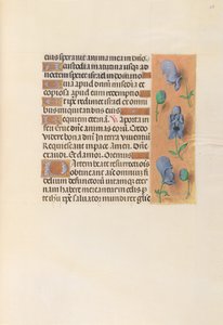 Getijdenboek van Koningin Isabella de Katholieke, Koningin van Spanje: Fol. 256r door Master of the First Prayerbook of Maximillian