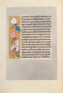Getijdenboek van Koningin Isabella de Katholieke, Koningin van Spanje: Fol. 258v, ca. 1500 door Master of the First Prayerbook of Maximillian