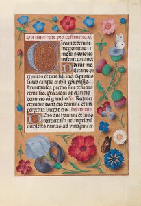 Getijdenboek van Koningin Isabella de Katholieke, Koningin van Spanje: Fol. 25r, ca. 1500 door Master of the First Prayerbook of Maximillian