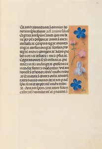 Getijdenboek van koningin Isabella de Katholieke, koningin van Spanje: Fol. 260r, ca. 1500 door Master of the First Prayerbook of Maximillian