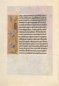 Getijdenboek van koningin Isabella de Katholieke, koningin van Spanje: Fol. 262v, ca. 1500