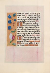 Getijdenboek van koningin Isabella de Katholieke, koningin van Spanje: Fol. 38v, ca. 1500 door Master of the First Prayerbook of Maximillian