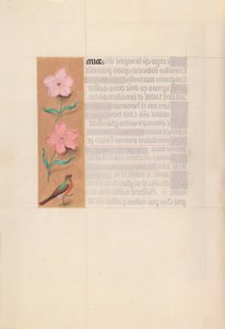 Uren van Koningin Isabella de Katholieke, Koningin van Spanje:  Fol. 56v door Master of the First Prayerbook of Maximillian