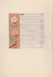 Getijdenboek van koningin Isabella de Katholieke, koningin van Spanje: Fol. 56v door Master of the First Prayerbook of Maximillian