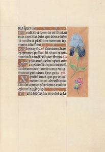Getijdenboek van koningin Isabella de Katholieke, koningin van Spanje: Fol. 58r, ca. 1500