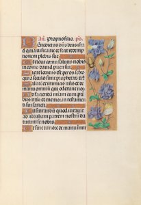 Uren van Koningin Isabella de Katholieke, Koningin van Spanje:  Fol. 59r door Master of the First Prayerbook of Maximillian