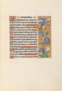 Getijdenboek van Koningin Isabella de Katholieke, Koningin van Spanje: Fol. 59r, ca. 1500 door Master of the First Prayerbook of Maximillian